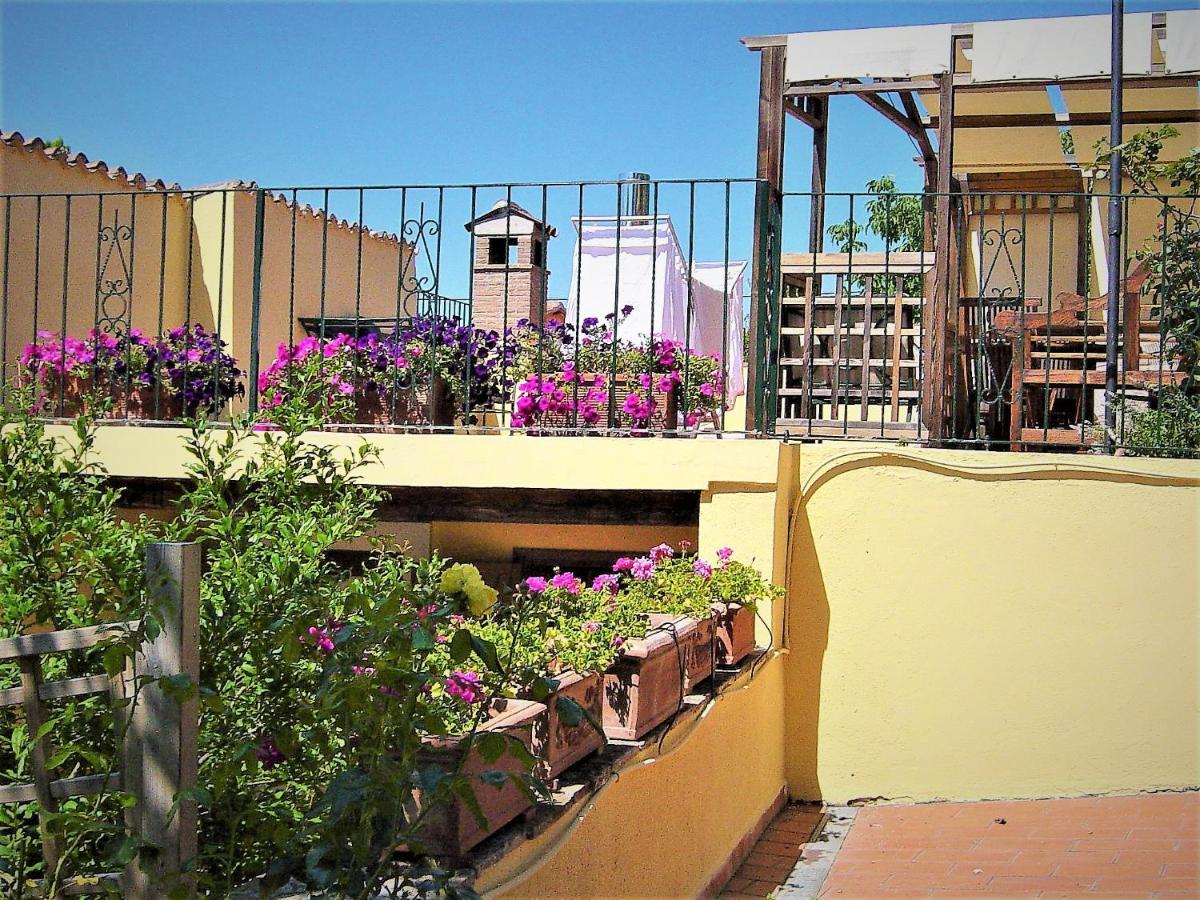 Country House Trevi Umbria Borghetto Vetuliae Santa Maria in Valle Dış mekan fotoğraf