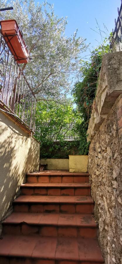 Country House Trevi Umbria Borghetto Vetuliae Santa Maria in Valle Dış mekan fotoğraf