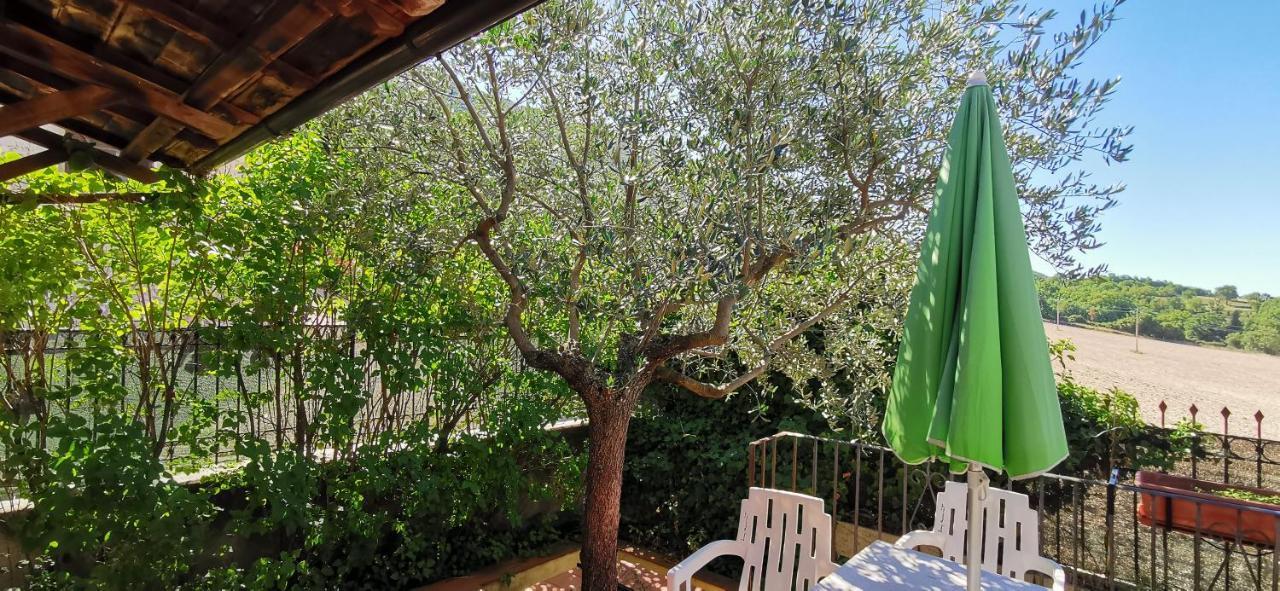 Country House Trevi Umbria Borghetto Vetuliae Santa Maria in Valle Dış mekan fotoğraf