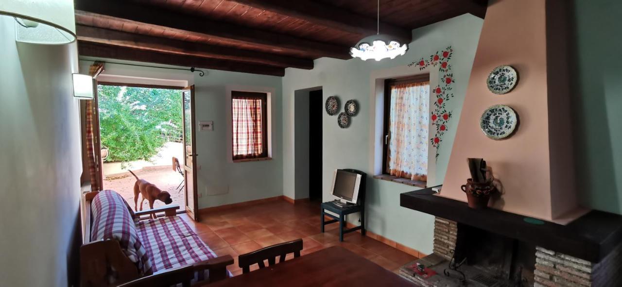 Country House Trevi Umbria Borghetto Vetuliae Santa Maria in Valle Dış mekan fotoğraf