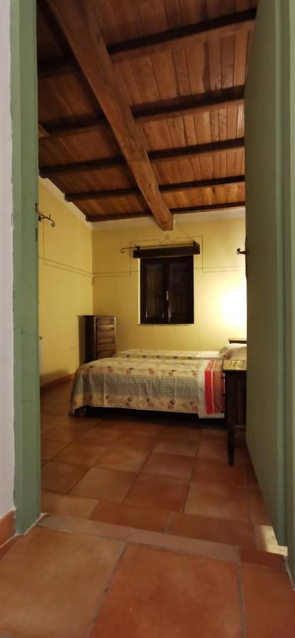 Country House Trevi Umbria Borghetto Vetuliae Santa Maria in Valle Dış mekan fotoğraf